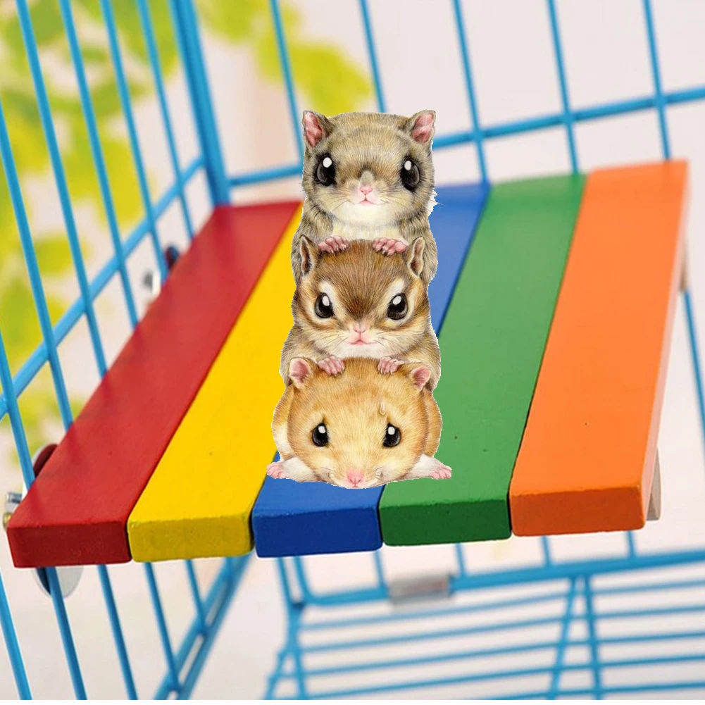 

Tool Mice Squirrel Physical Chinchilla Board Stand Wooden Platform Perch Rectangular Climbing Hamster Springboard Toy Colorful