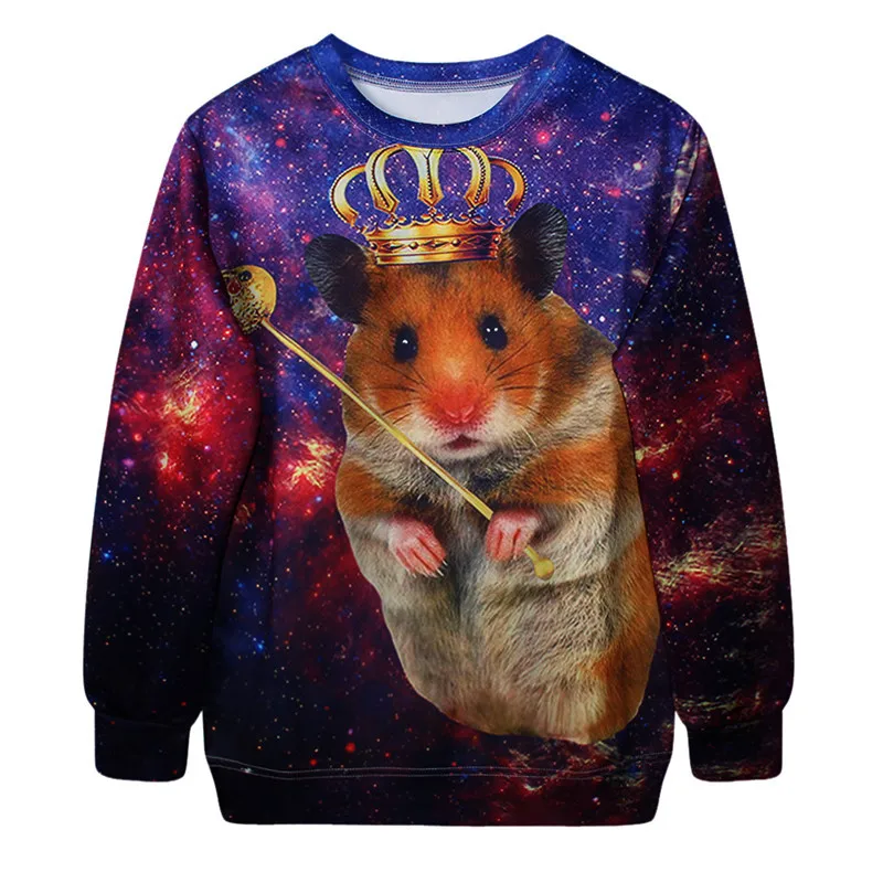 Wolf Shirt Hoodie Kids Galaxy 3D Printed Hoodie Fun Space Themed