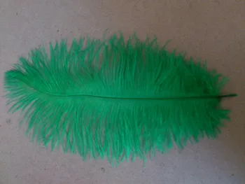 

Free Shipping-100pcs 12-14inch kelly green Ostrich Feather for wedding decor wedding centerpiece wedding decor