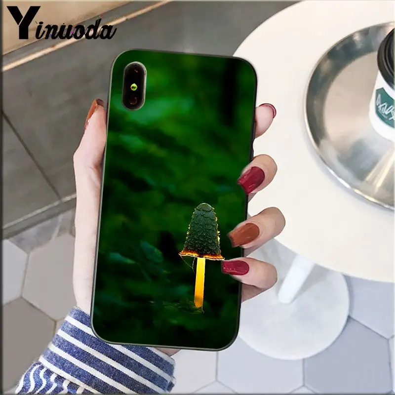 Cute plant mushroom