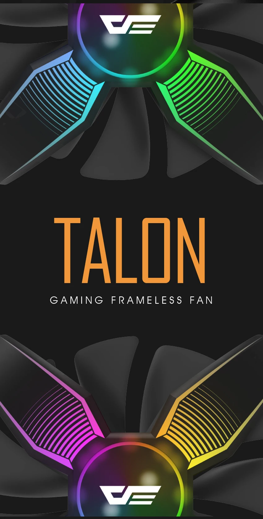Talon_dsa_01_02