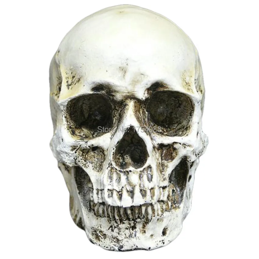 Resin Head Skull (2).jpg