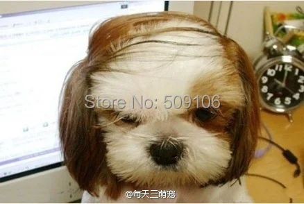 Рисунок 2 - Тест нормальных шаблонов