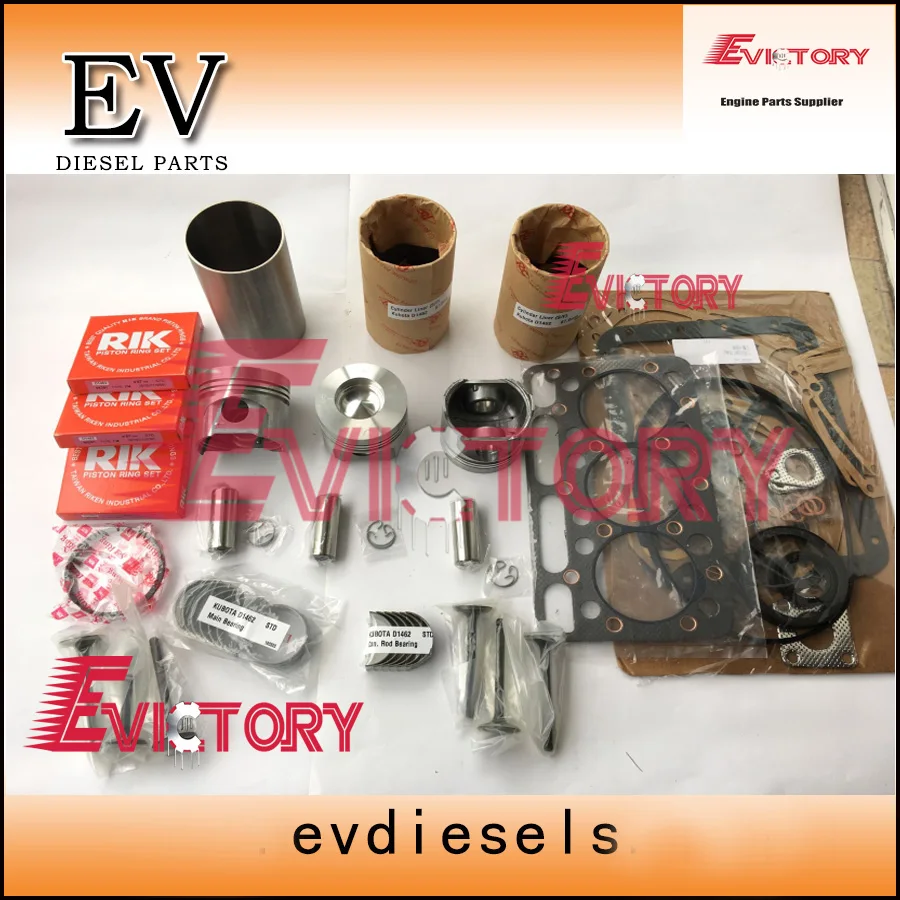 D1462 rebuikd overhaul kit