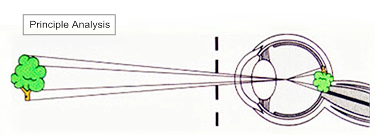7B