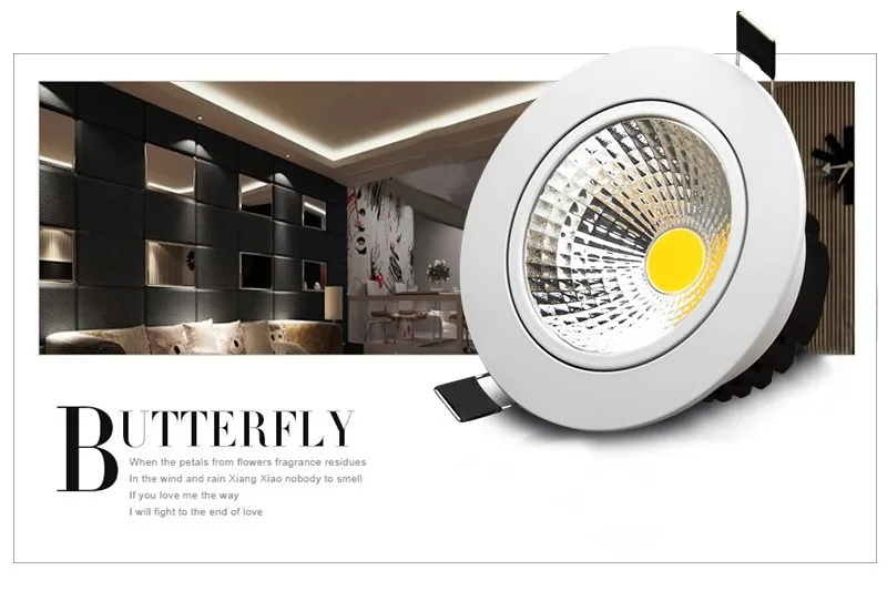 LED Downlight  (4)