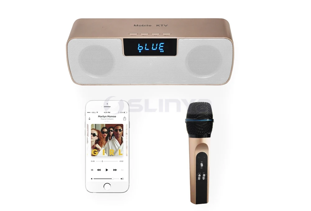Speaker with wireless microphone 8040170721 (9)