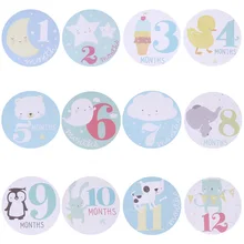 Baby Pregnant Women Monthly Photograph Stickers Fun Lovely Cartoon Pink Blue Month 1 12 Milestone Clothes