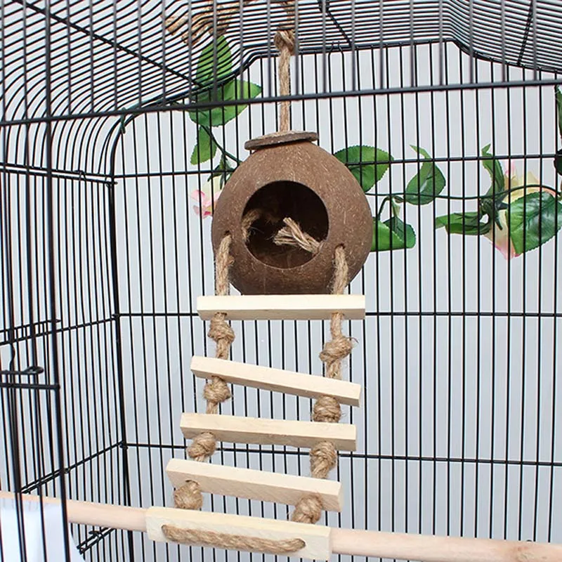 En Bois Naturel Perroquet Jouets Cocon Nid Réducteur
