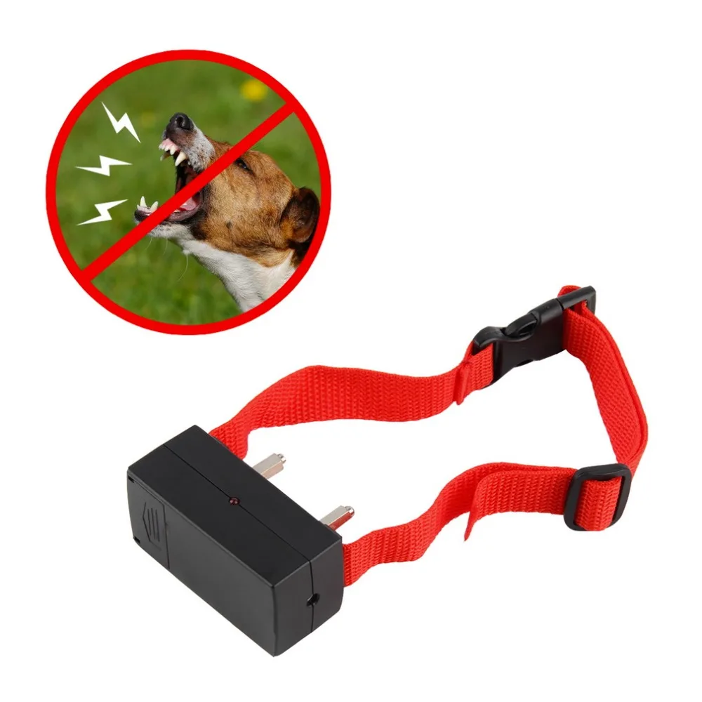 Dog Shock Collar Training Barking Dog Shock Collar Training Barking