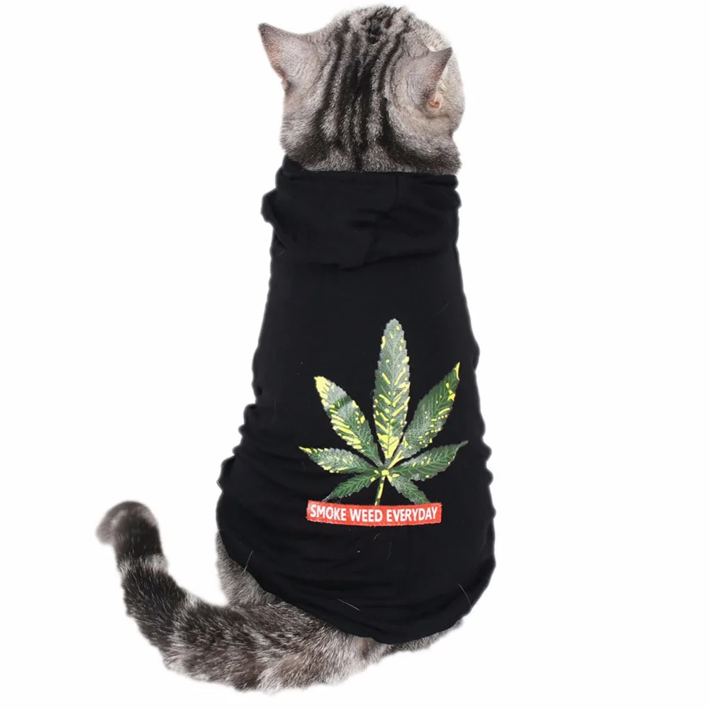 PipiFren маленькая одежда для кошек толстовка с капюшоном пальто котят йоркширский