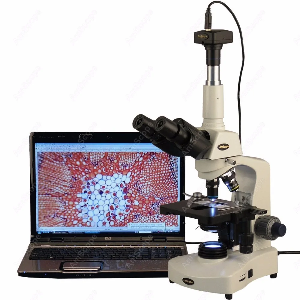 Тринокулярный микроскоп-AmScope 40X-2000X 3 Вт светодиодный Siedentopf тринокулярный
