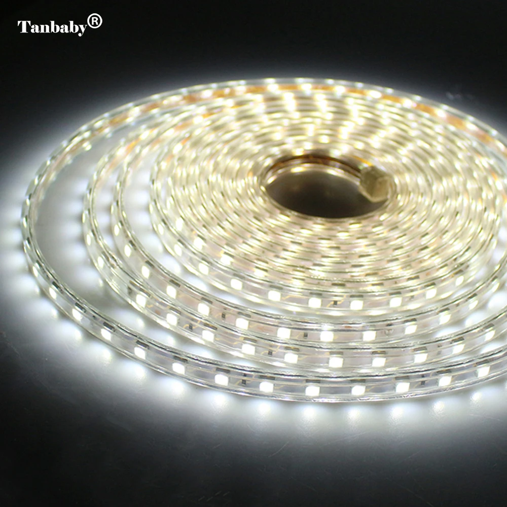 buy 220V LED Strip With EU Plug SMD 5050 Flexible LED tape 1M 2M 5M 10M 60leds M Waterproof oudtoor Home Decoration Lamps