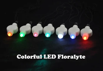 

10pcs LED Floralyte Reusable DECORATIVE ACCENTS/ Skylantern parper lantern led Lights White color