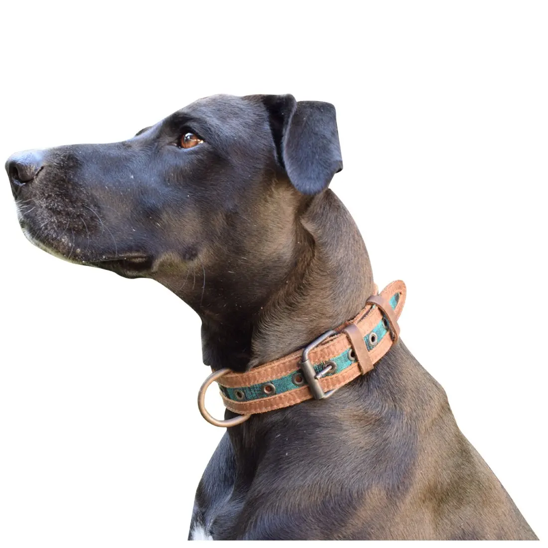 

First layer leather natural durable full grain leather Rustic Mayan beautiful dog collar handmade high quality collar