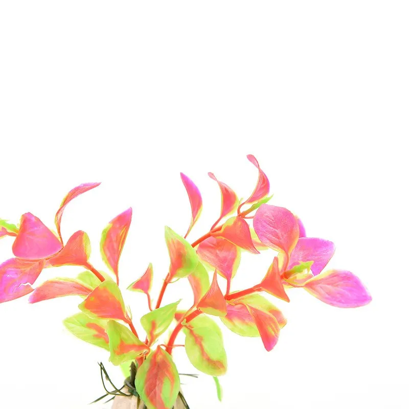 HTB1ZBfFKXXXXXXNaXXXq6xXFXXXM