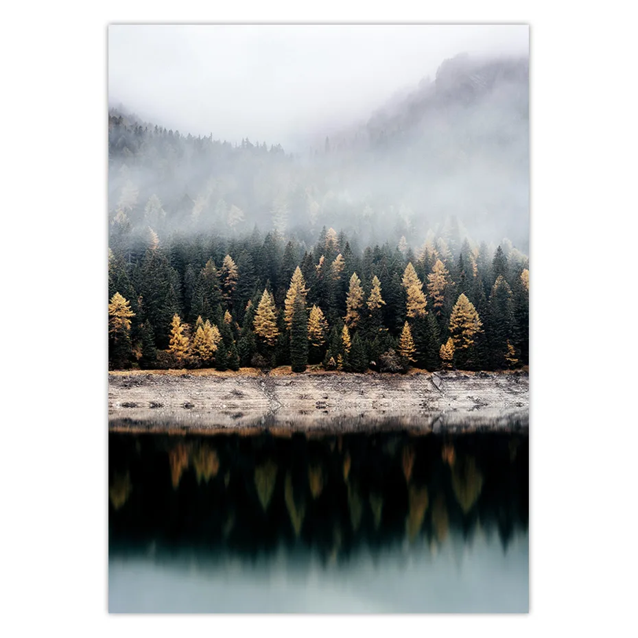 color_opt_2