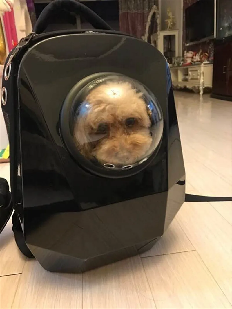 pet bag backpack19