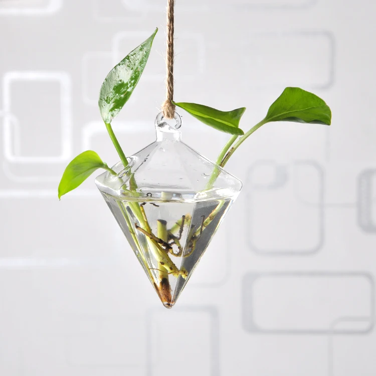Hanging Vase Hanging Terrarium Hanging Glass Planter Clear Flower