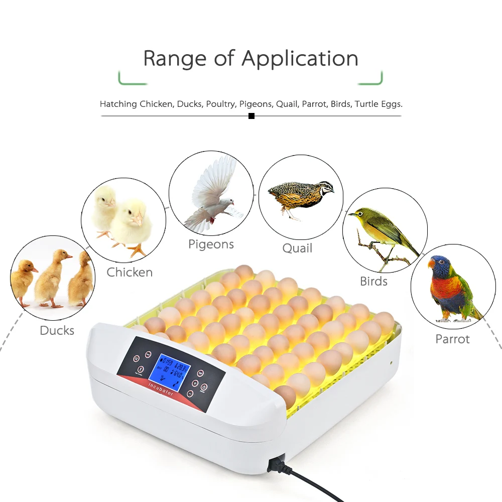 56 Eggs Incubator Full-automatic Egg Incubator Hatcher Eggs Hatching Machine with Temperature Control Onekey LED Egg Tester