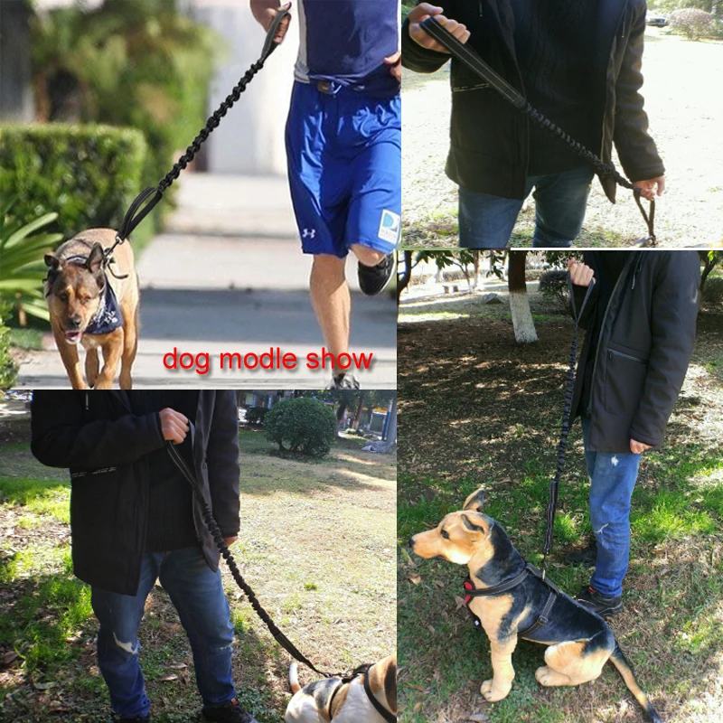 modle