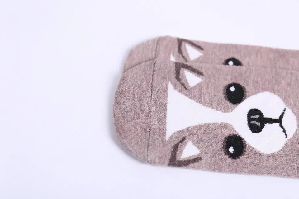 4523306095_297019652