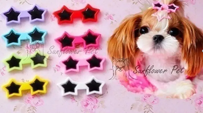 Cute Pentagram font b Pet b font Dog hair grooming font b supplies b font Dog
