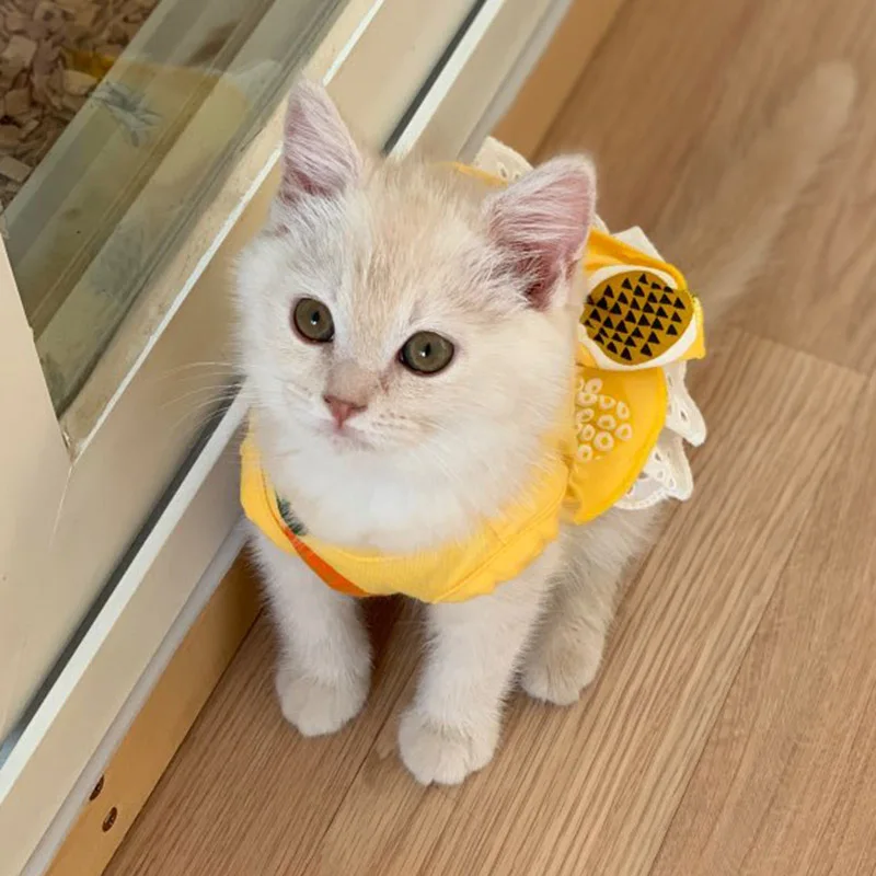 Милые летние платья для кошек с ананасами охлаждающая юбка одежда домашних