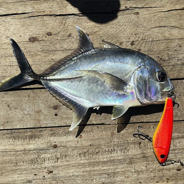 CF-lure – 130mm Explorer hitaasti uppoava jerkki