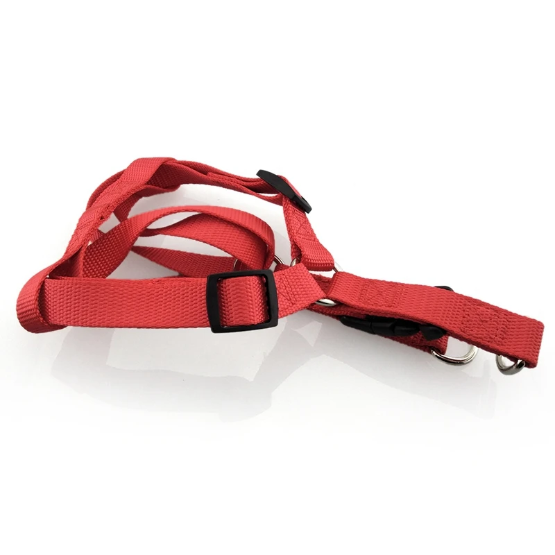 dog harness (14)