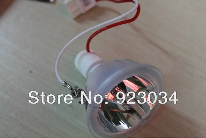 

PHOENIX SHP91Replacement Projector Lamp