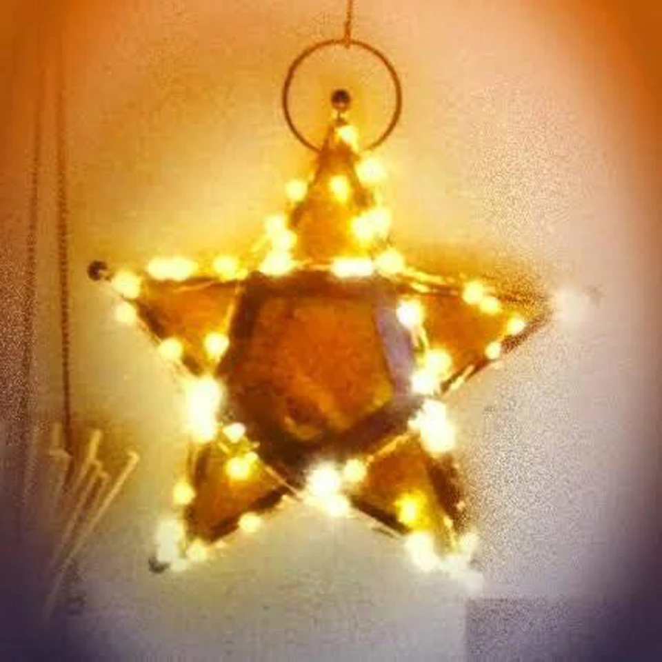 holiday light (5)