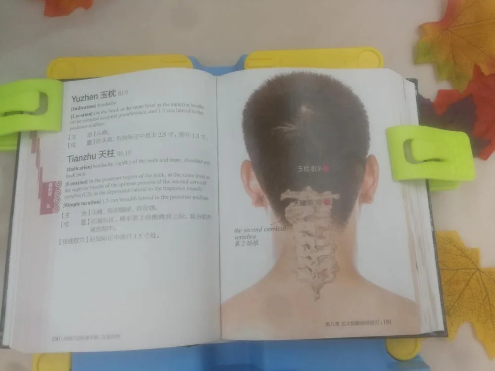 微信图片_20190629104251