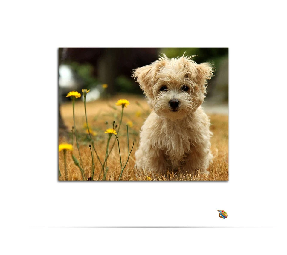 Бескаркасная локон собака газон животное Современная Реалистичная картина по номерам цветы Раскраска по номерам
