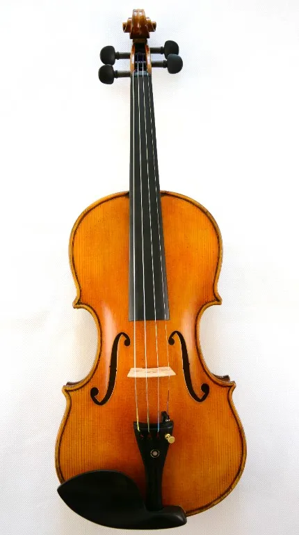 Горд скрипка Guarneri 1743 Cannone скрипка удивительный звуконечный инструмент