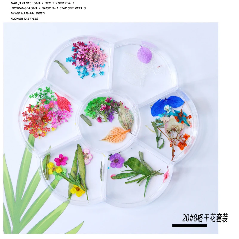 Natural Nail Dried Flowers Decoration Mix Dry Flower And Leaf Decor 3D Nail Art Designs Gypsophila Manicure Accessories