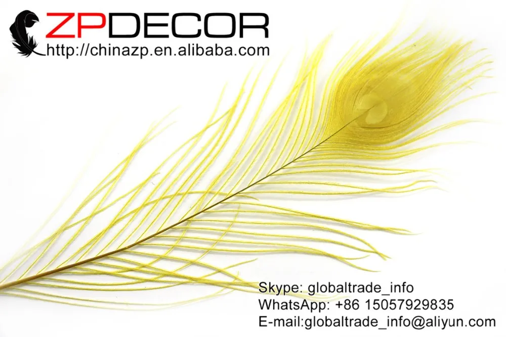7 Yellow Peacock Tail Feather (165)