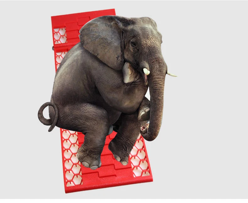 4040218914_1694211389