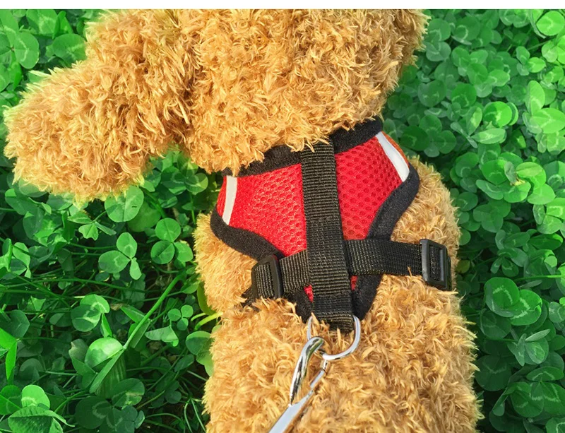 62e0c51f7fc77fda9829311414854753_HTB19zvdL3HqK1RjSZFgq6y7JXXau