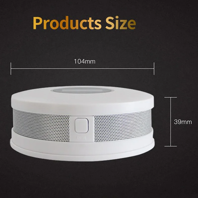 CO Smoke Combine Gas Carbon Monoxide Detector Warning ...
