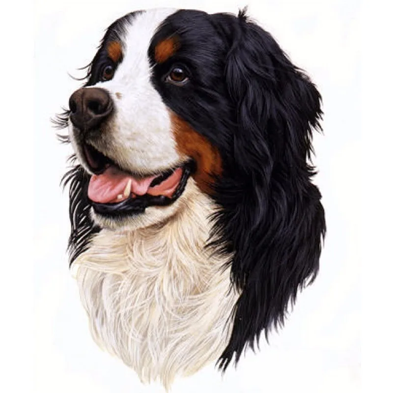 Online kopen Wholesale berner honden uit China berner