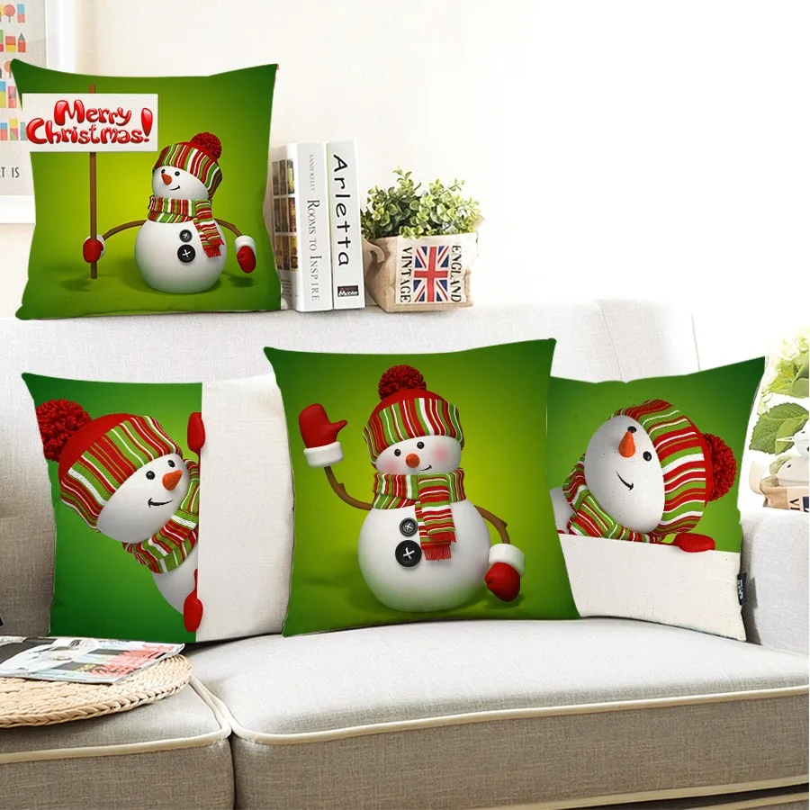 cushion (1)