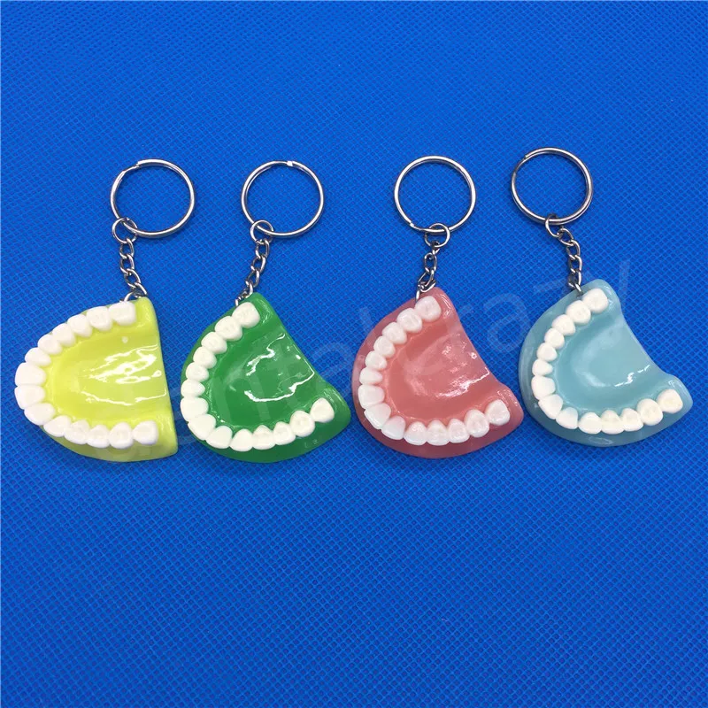 Dental Gift Tooth Keychain Resin Molar Upper Jaw Shape Model Shape