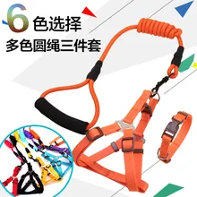 Correa para mascotas perro Harnes collar de correa de tres piezas conjunto de cuerda de Color sólido perro cadena(China)