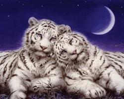 Needlework-diy-5d-diamond-painting-cross-stitch-tiger-rhinestone-pasted-painting-diamond-embroidery-home-decor-wall.jpg_640x640 (3)