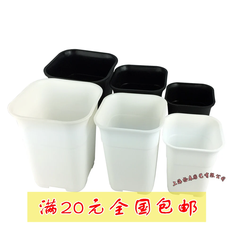 

Fleshy plastic nursery pots square pots Vientiane matte black and white thicker type pots