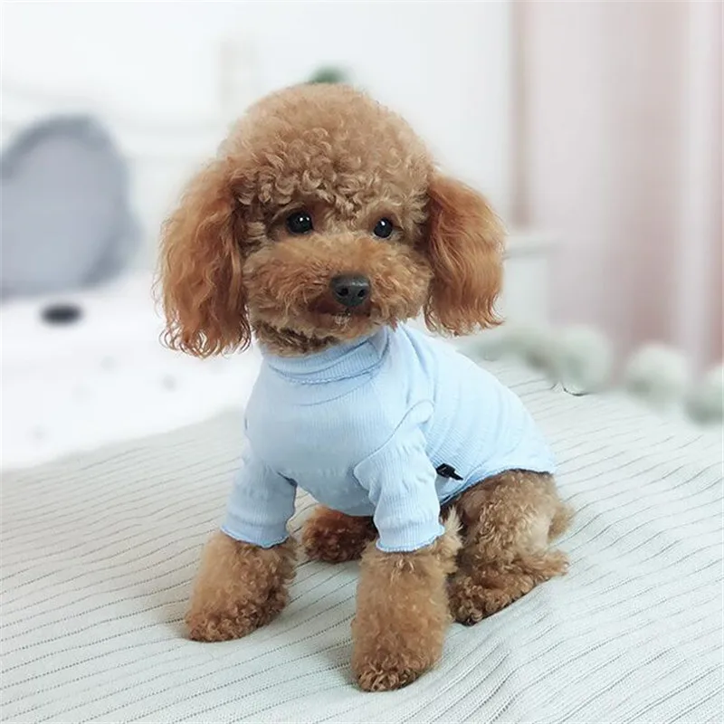 QQ20190318215207
