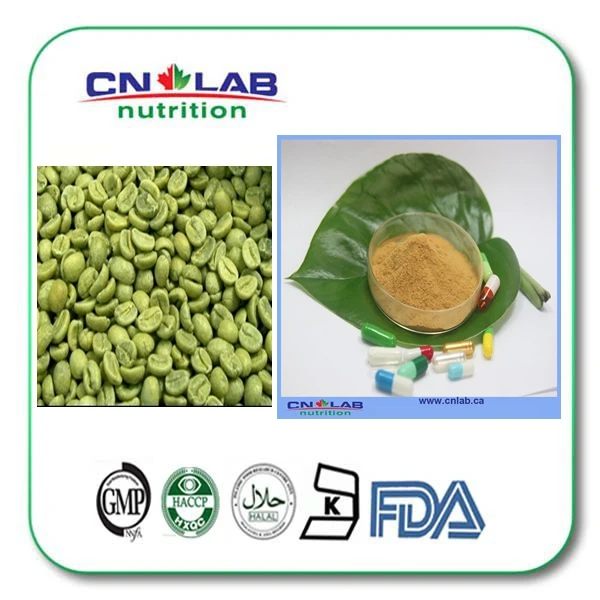 free shipping green coffee bean extract 50 chlorogenic acid supplement