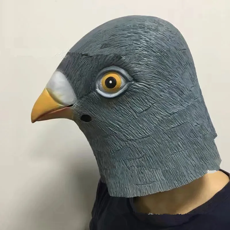 20190117_182543_018