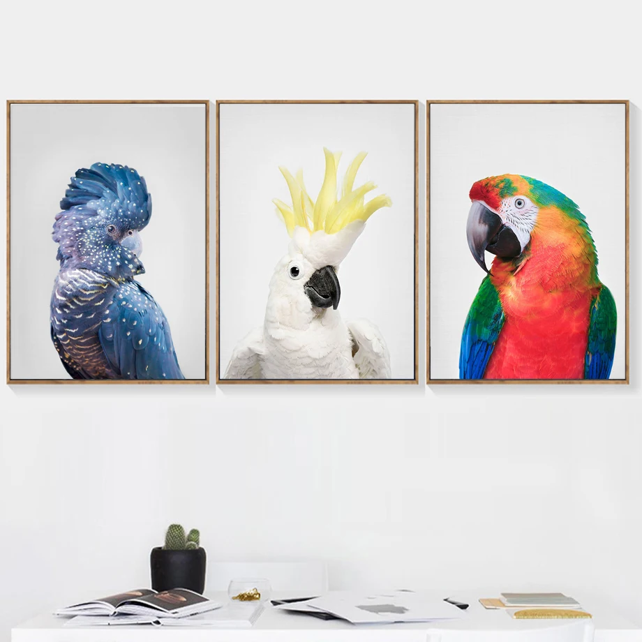 parrot wall art